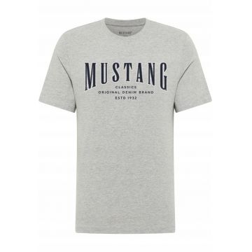 Tricou Barbati -  Style Alex - Regular Fit - Maneca Scurta - Decolteu Rotund - Cu Logo - Bumbac - Design Clasic - Grau