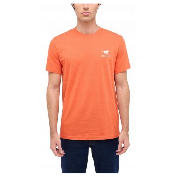 Tricou Barbati -  Style Austin - Regular Fit - Maneca Scurta - Decolteu Rotund - Cu Logo - Bumbac - Design Clasic - M INTL - Portocaliu