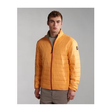 Jacheta matlasata Acalmar -