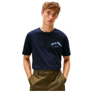 Tricou barbati  IC GRAPHIC TEE - Bumbac - Albastru - Albastru