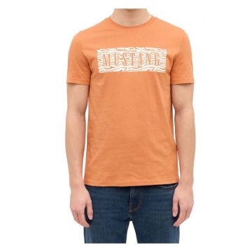 Tricou regular fit din bumbac Austin 1015070