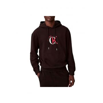 Hanorac  LS EU 350TERRY GRAPHIC HOODIE-LV04RE255G-UB1