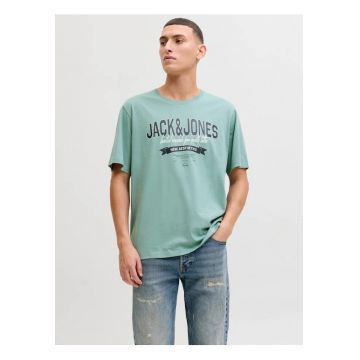 Tricou cu decolteu la baza gatului - barbati - Standard fit - Verde deschis -