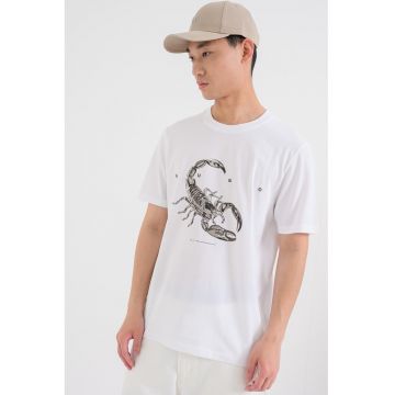 Tricou cu imprimeu grafic Discorb - Negru/Maro taupe/Alb optic