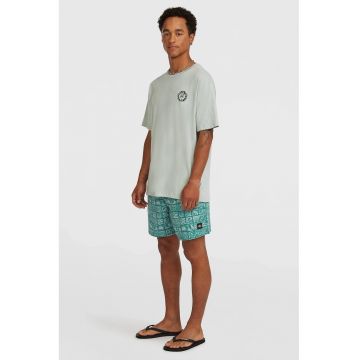 Pantaloni scurti de baaie cu model tropical - Verde persan