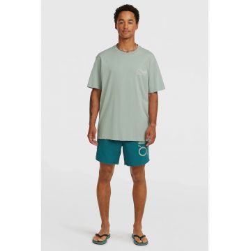 Pantaloni scurti de baie cu talie joasa si imprimeu logo - Verde persan