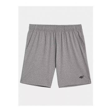 Pantaloni scurti de trening pentru barbati -  Pellikin - gri - Gri