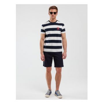 Tricou cu imprimeu in dungi Remir