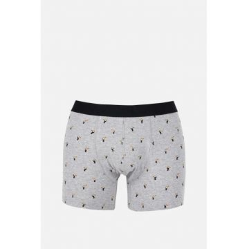 Lenjerie intima barbati  gri - Gri