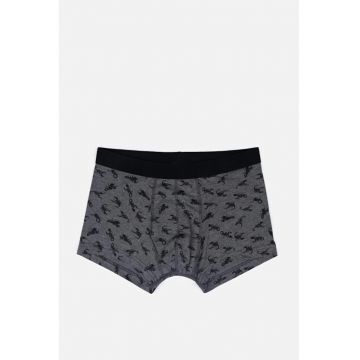 Lenjerie Intima Barbati  Modern Fit Multicolor - Multicolor