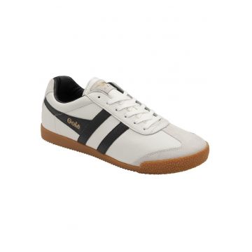 Pantofi barbati Harrier -  Piele naturala - Negru