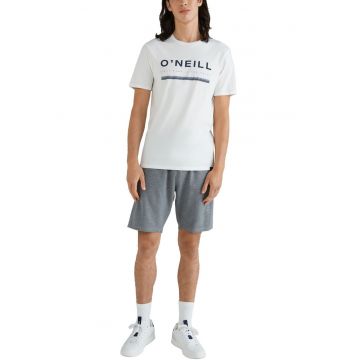 Pantaloni scurti  Pique Boardy Short