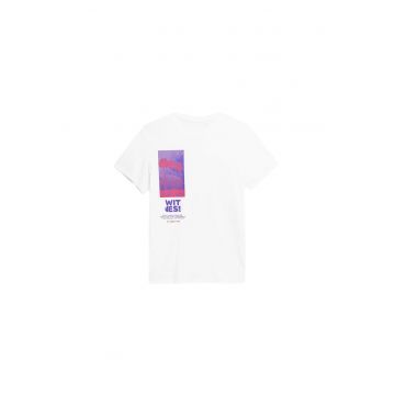 Tricou barbatesc din bumbac  multicolor - 4FSS23TTSHM361