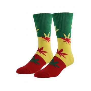 Rasta La Vista Sosete lungi cu print