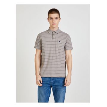 Tricou polo din amestec de bumbac cu model in dungi
