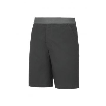 Pantaloni scurti barbati  Session - Gri