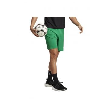 Pantaloni scurti barbati -  Verde