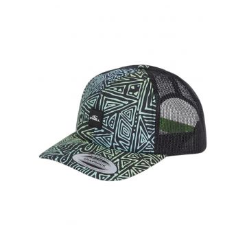 Sapca copii  FLOOD TRUCKER SS 2025 - Multicolor